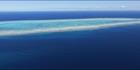 Lamont Reef - QLD (PBH4 00 18423)